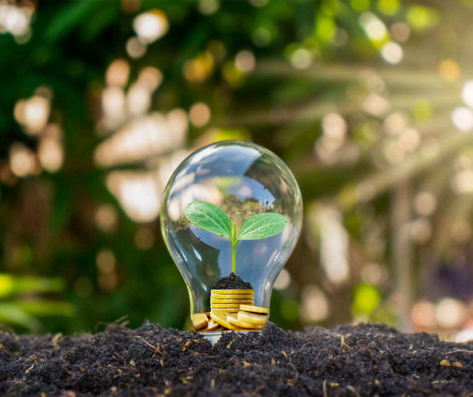 rincaro dell'energia elettrica