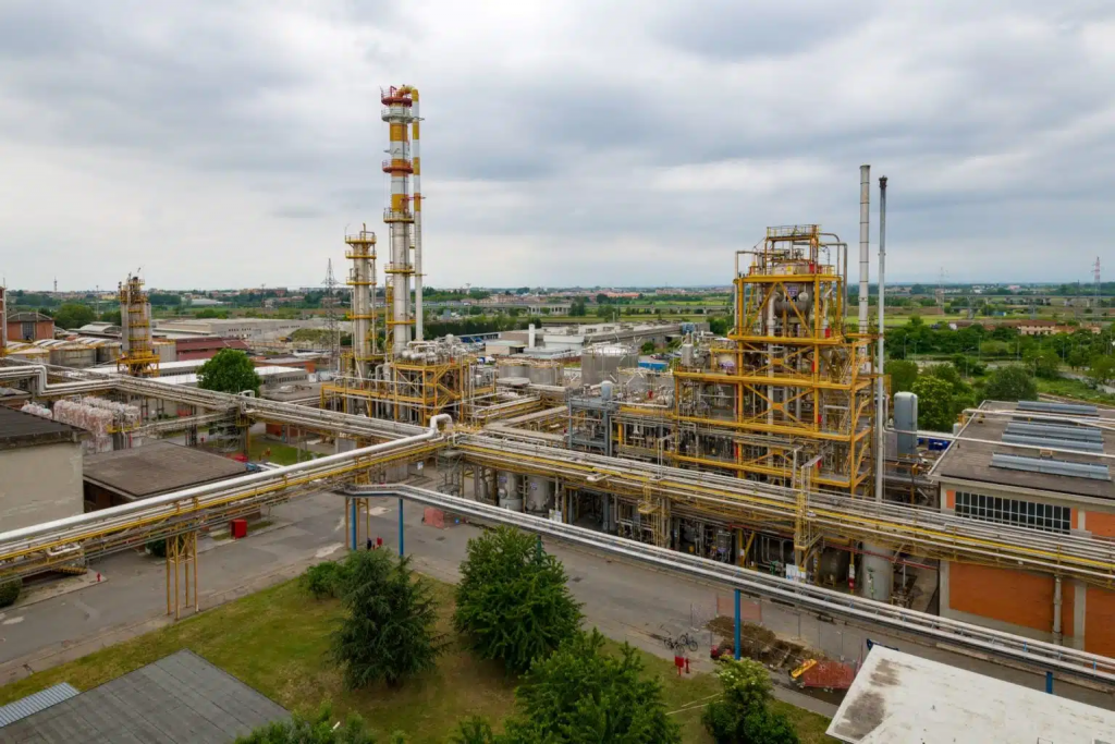 alisea sceglie radici chimica