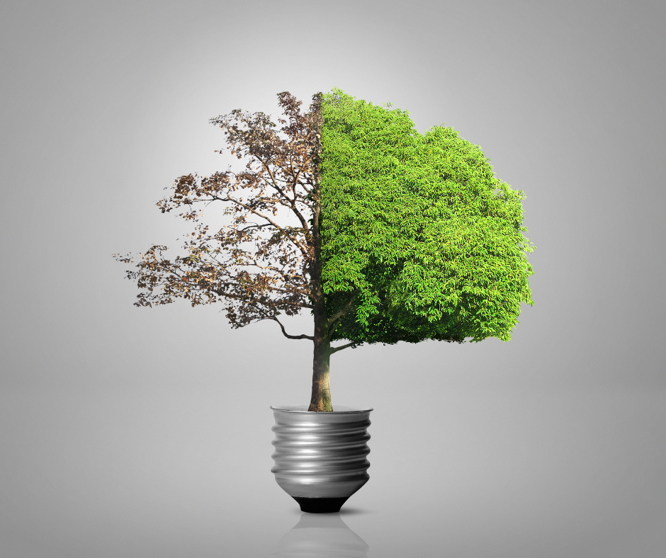 giornate risparmio energetico