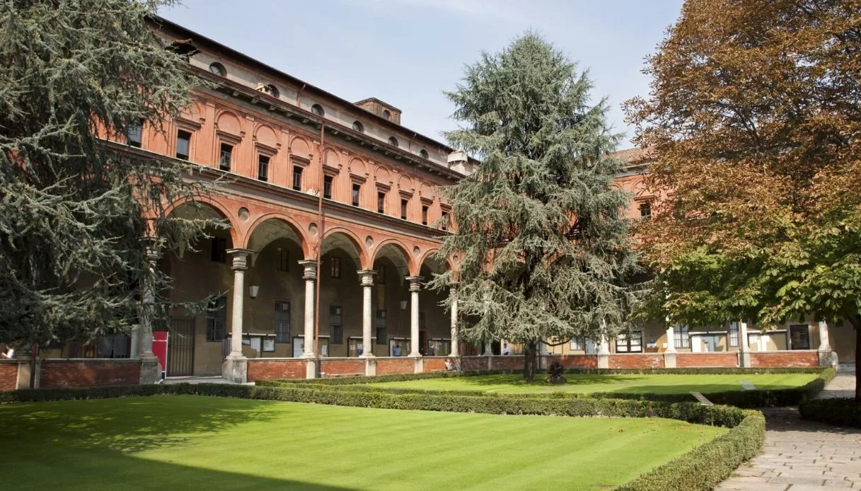 cultura alisea università