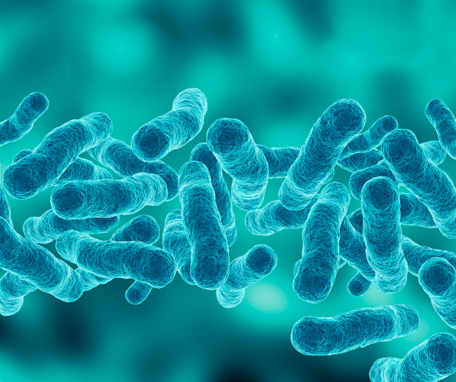 I rischi più grandi legionella