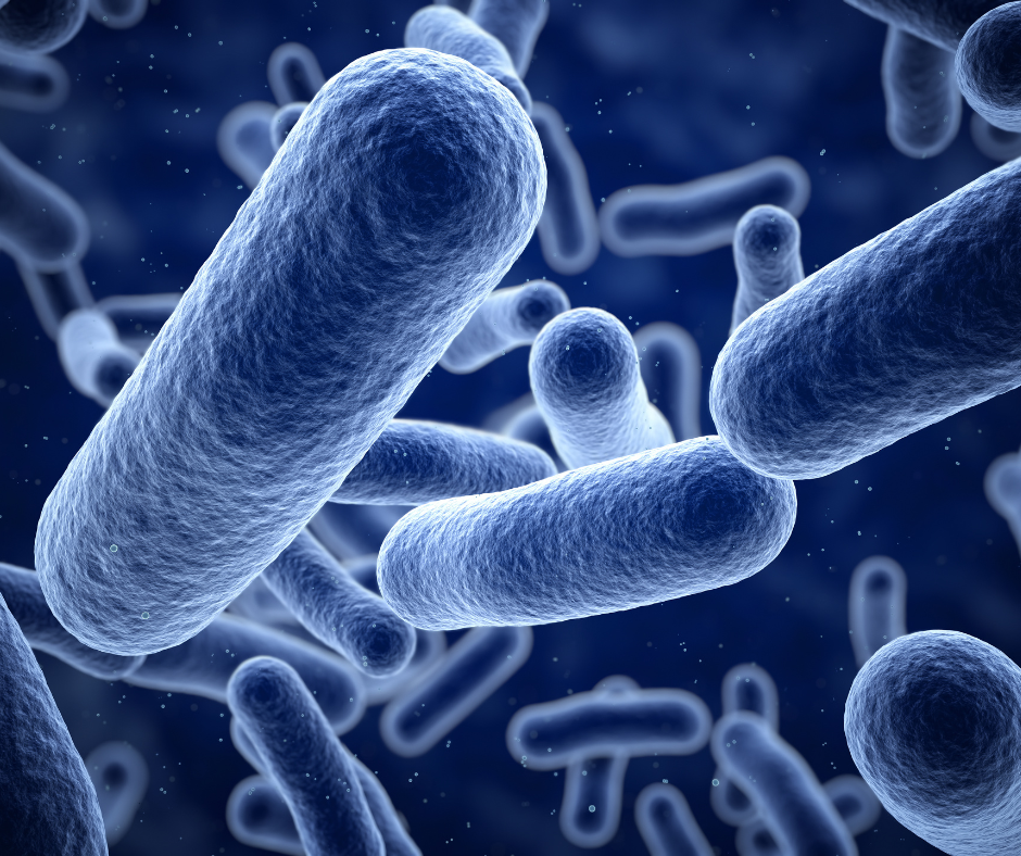 Siamo l'aria che respiriamo