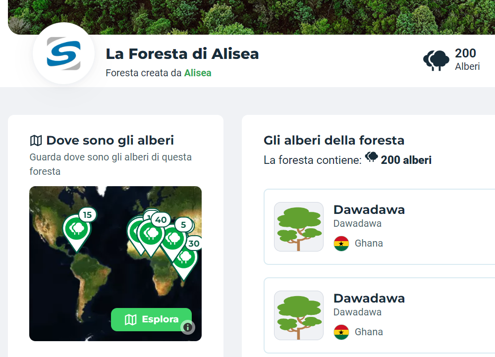 Resoconto degli alberi che Alisea ha piantato con Treedom.