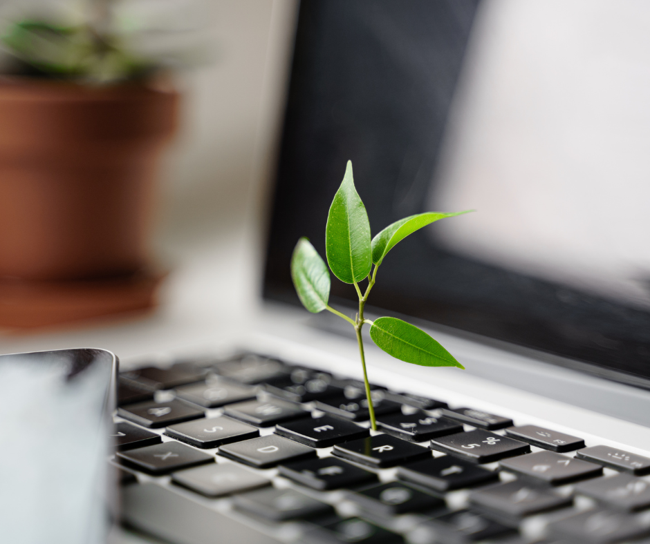 Pc da cui nasce una piantina, simbolo direttiva CSRD.