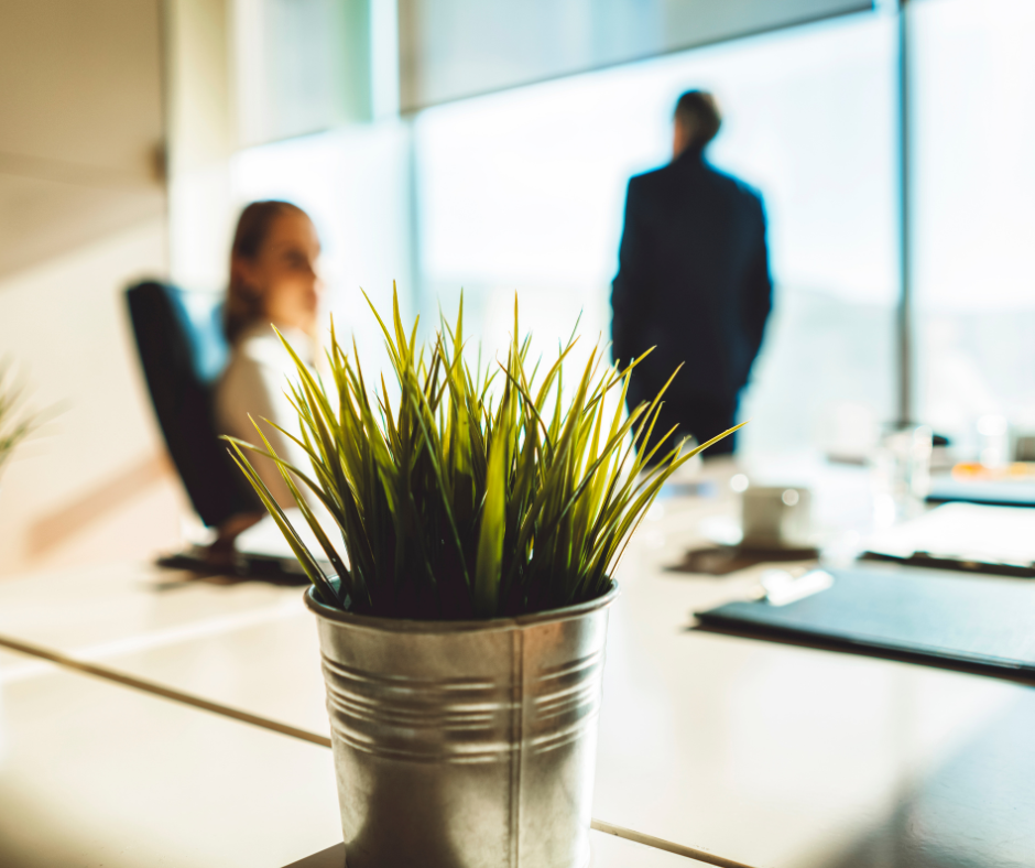 Persone lavorano con piante in ufficio.