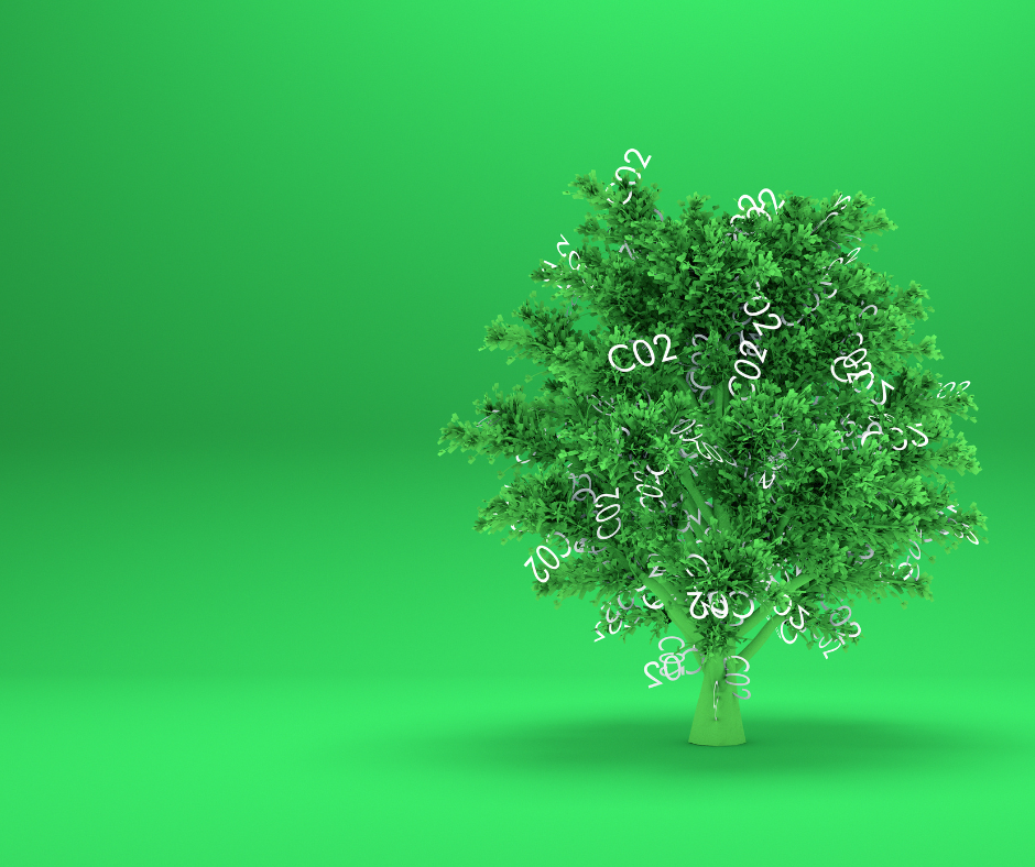 Decarbonizzazione e riduzione CO2